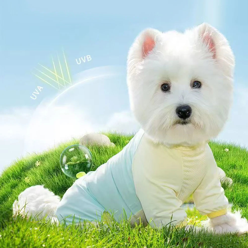 Dog Cooling Clothes  Vest   UV Sun Protection Breathable Mesh Ice Jacket, Small Medium Large Dogs, Adjustable for Outdoor Walk