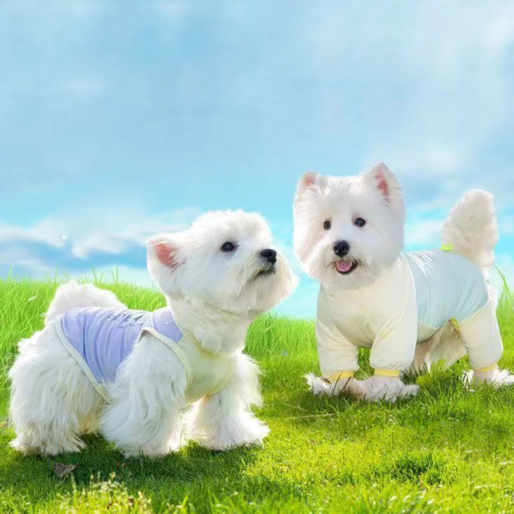 Dog Cooling Clothes  Vest   UV Sun Protection Breathable Mesh Ice Jacket, Small Medium Large Dogs, Adjustable for Outdoor Walk